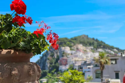 Capri