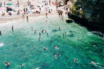 Bari